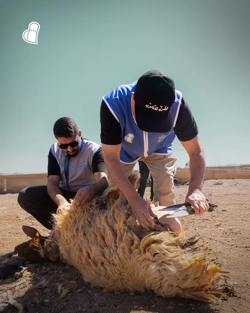 رحلة السعادة ٦.webp