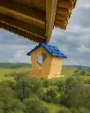 birdhouse .webp