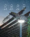 Solar Pendant Light_.webp